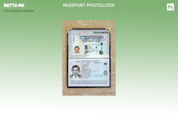 Модерен стил на новозеландски пасош присутен шаблон за фото изглед